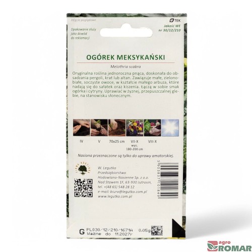 Ogórek meksykański (2).jpg