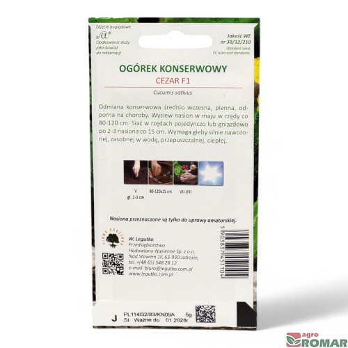 Ogórek konserwowy Cezar(2).jpg