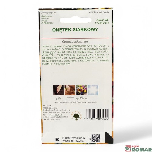 Onętek siarkowy(2).jpg