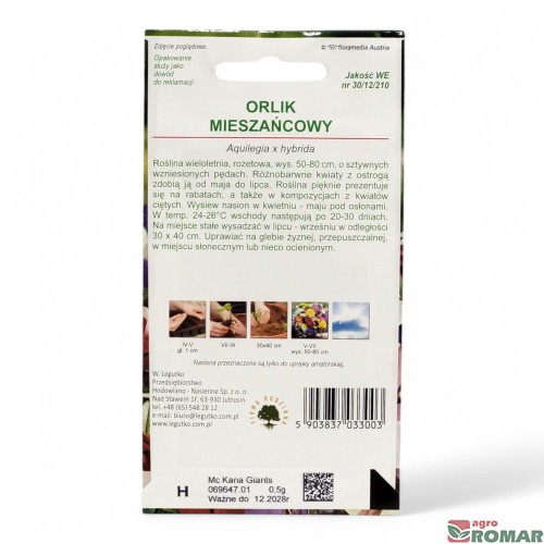 Orlik mieszańcowy(2).jpg