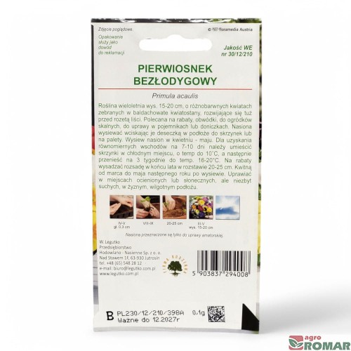 Pierwiosnek bezłodygowy(2).jpg