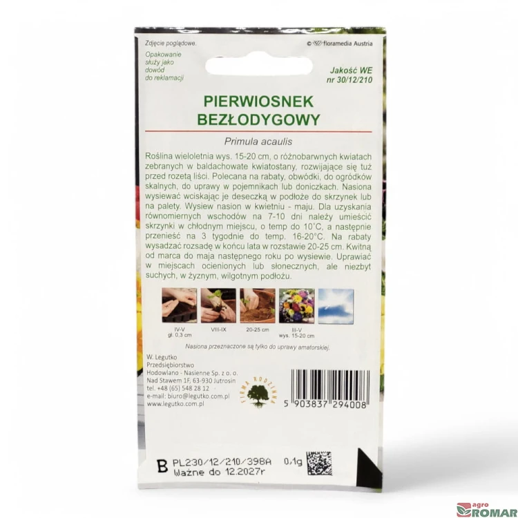 Pierwiosnek bezłodygowy(2).jpg