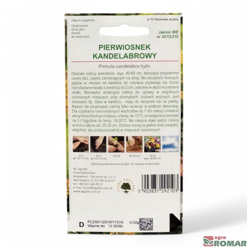 Pierwiosnek kandelabrowy(2).jpg