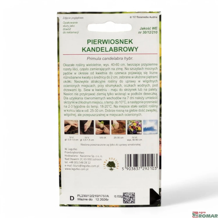Pierwiosnek kandelabrowy(2).jpg