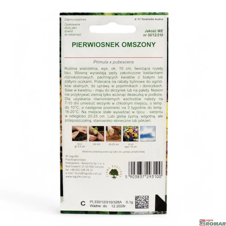 Pierwiosnek omszony(2).jpg