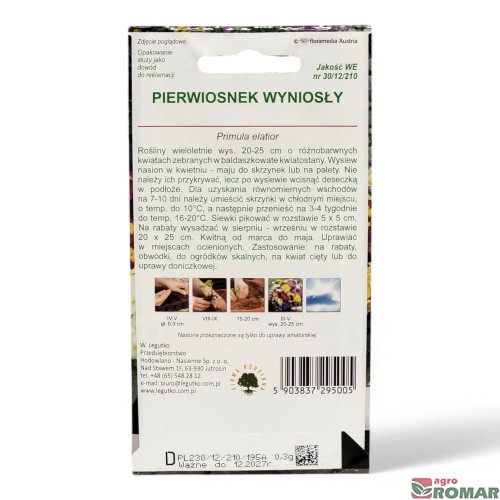 Pierwiosnek wyniosły(2).jpg