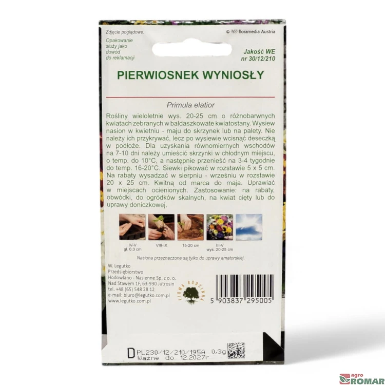 Pierwiosnek wyniosły(2).jpg