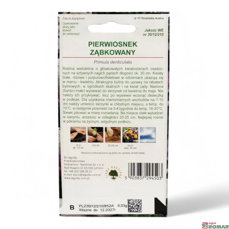 Pierwiosnek ząbkowany(2).jpg