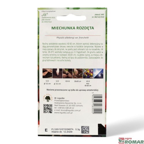 Miechunka rozdęta(2).jpg