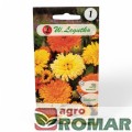 Nagietek Lekarski żółto-pomarańczowy.jpg