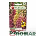 Naparstnica purpurowa dwuletnia.jpg