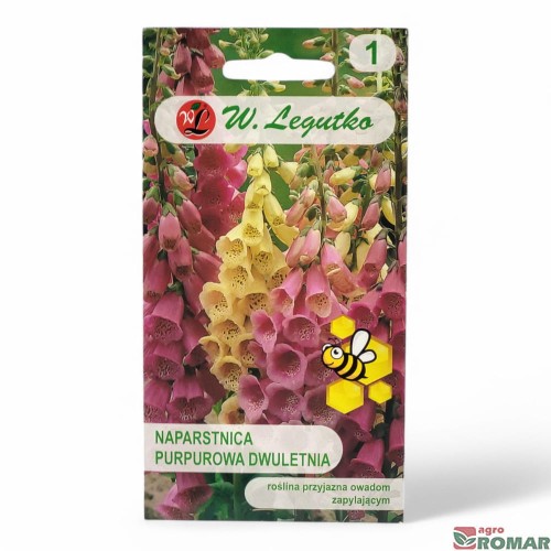 Naparstnica purpurowa dwuletnia.jpg