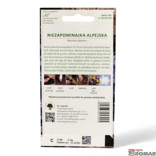Niezapominajka alpejska(2).jpg