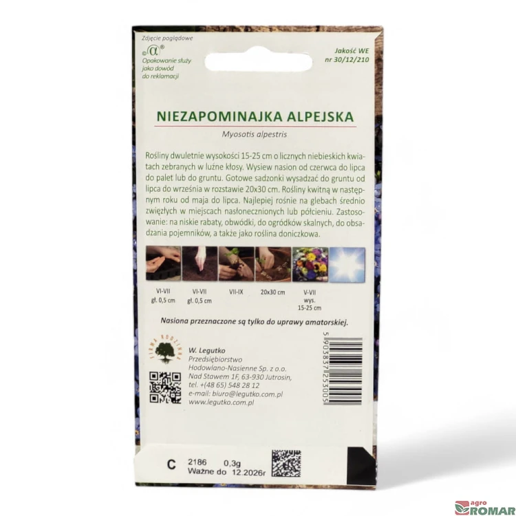 Niezapominajka alpejska(2).jpg