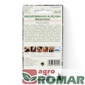 Niezapominajka alpejska mieszanka(2).jpg