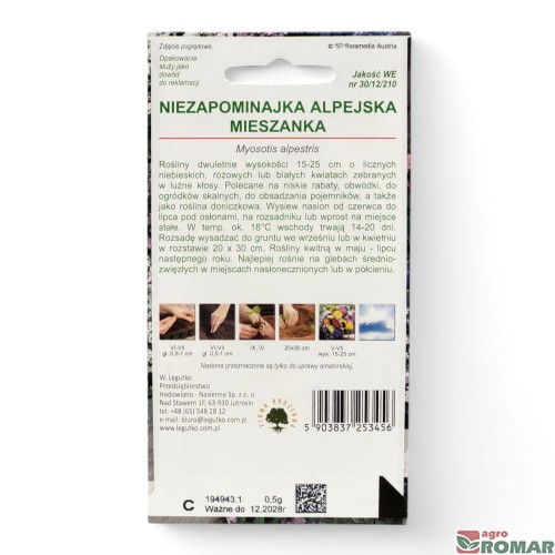 Niezapominajka alpejska mieszanka(2).jpg