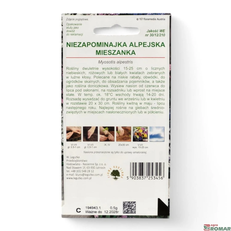Niezapominajka alpejska mieszanka(2).jpg