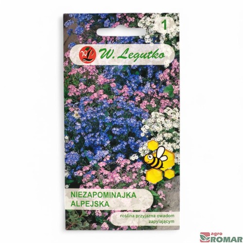 Niezapominajka alpejska mieszanka.jpg