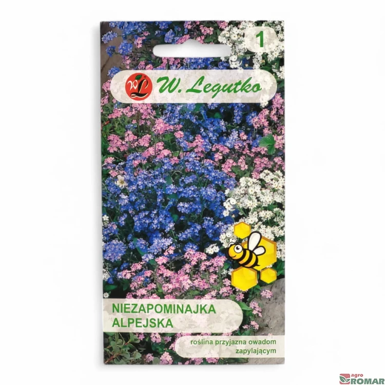 Niezapominajka alpejska mieszanka.jpg