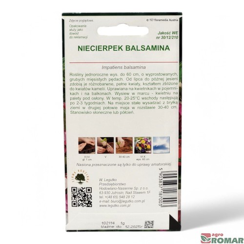 Niecierpek, balsamina(2).jpg