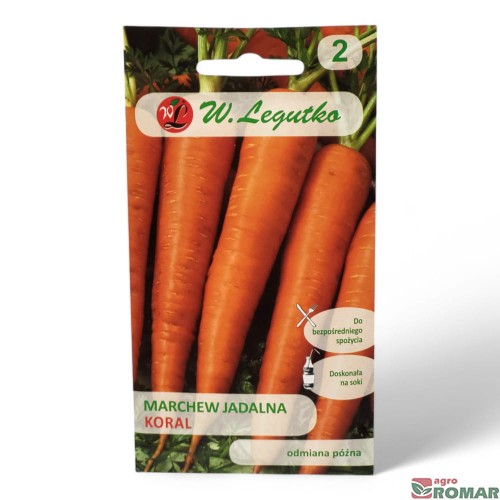 Marchew jadalna koral.jpg