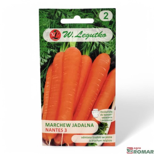 Marchew jadalna nantes 3.jpg