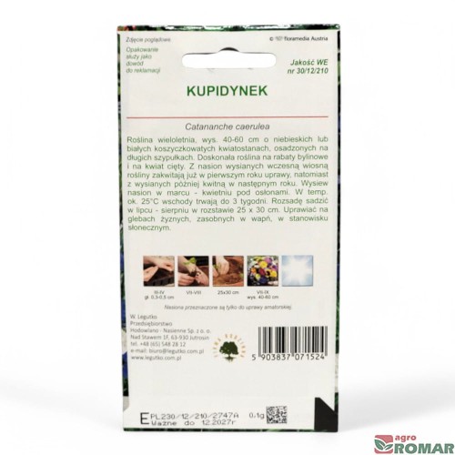 Kupidynek(2).jpg