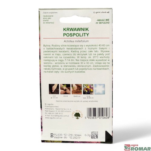 Krwawnik pospolity(2).jpg