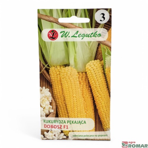 Kukurydza pękająca dobosz.jpg