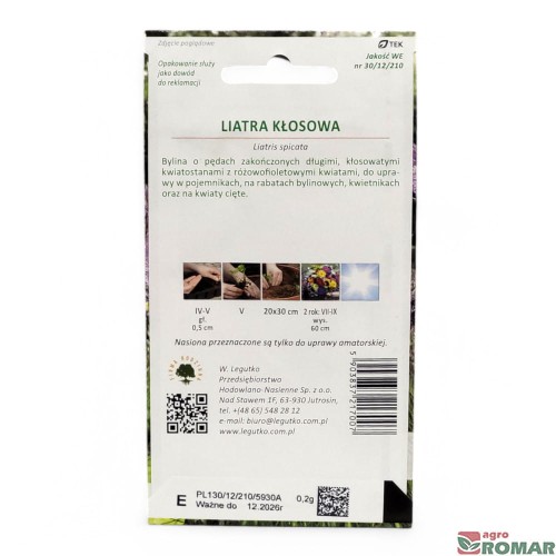 Liatra kłosowa(2).jpg