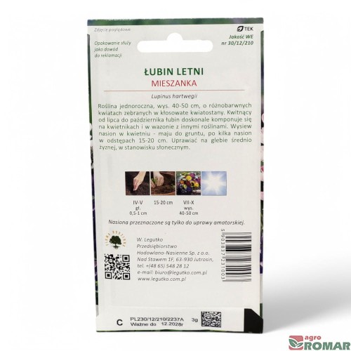 Łubin Letni mieszanka(2).jpg