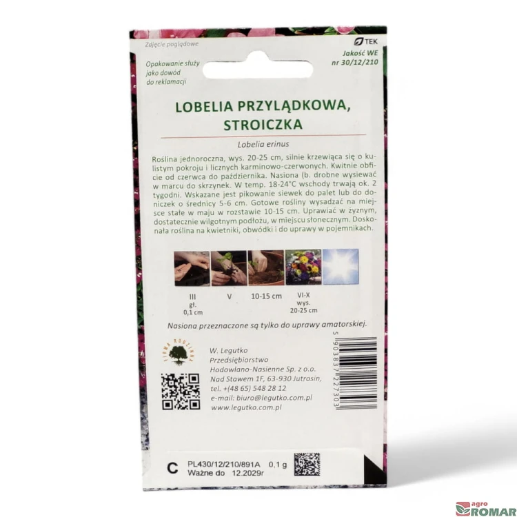 Lobelia przylądkowa, stroiczka(2).jpg