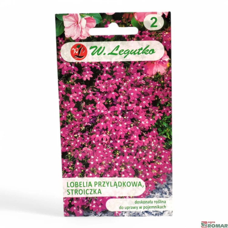 Lobelia przylądkowa, stroiczka.jpg