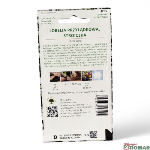 Lobelia przylądkowa, stroiczka biała(2).jpg
