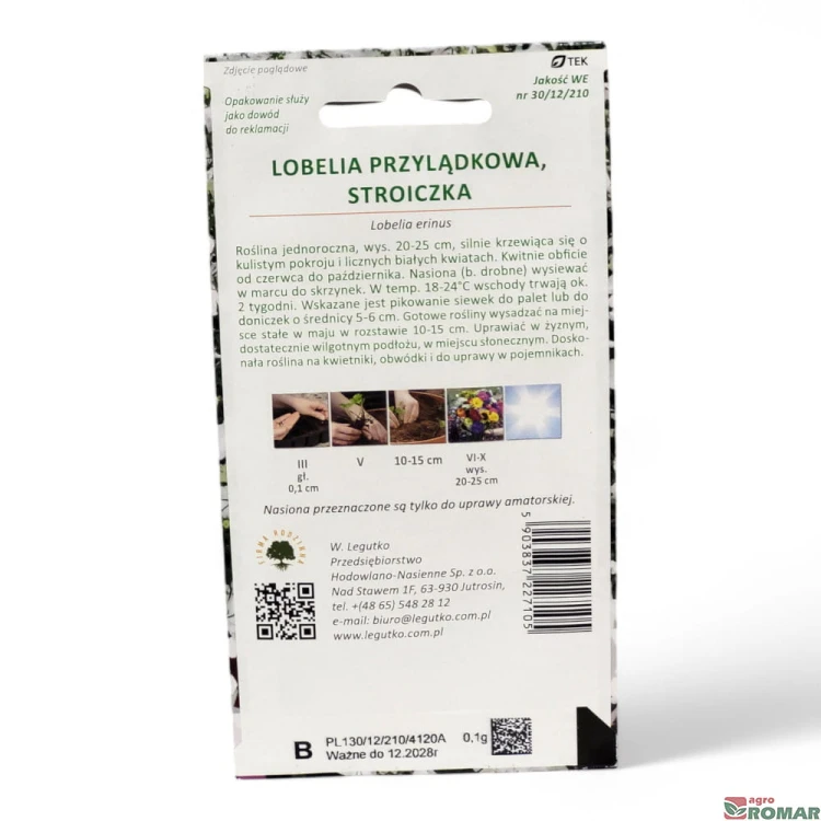 Lobelia przylądkowa, stroiczka biała(2).jpg