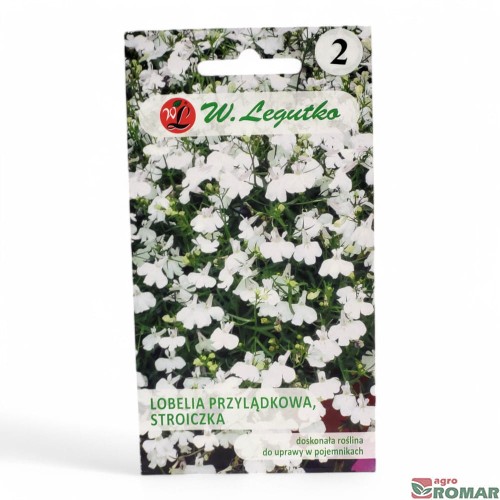 Lobelia przylądkowa, stroiczka biała.jpg