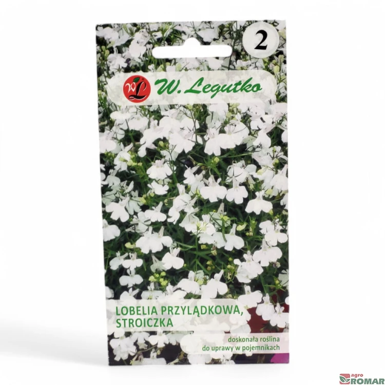 Lobelia przylądkowa, stroiczka biała.jpg
