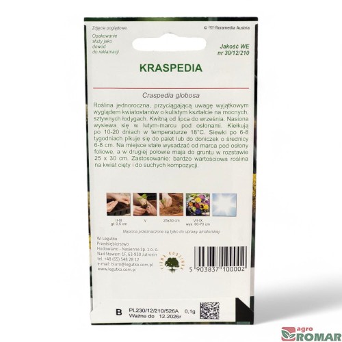 Kraspedia(2).jpg