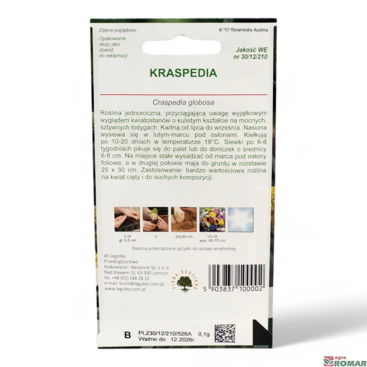 Kraspedia(2).jpg