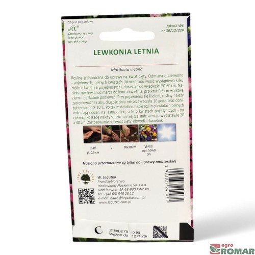 Lewkonia Letnia różowa(2).jpg