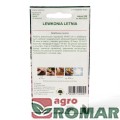 Lewkonia Letnia(2).jpg