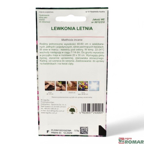 Lewkonia Letnia(2).jpg
