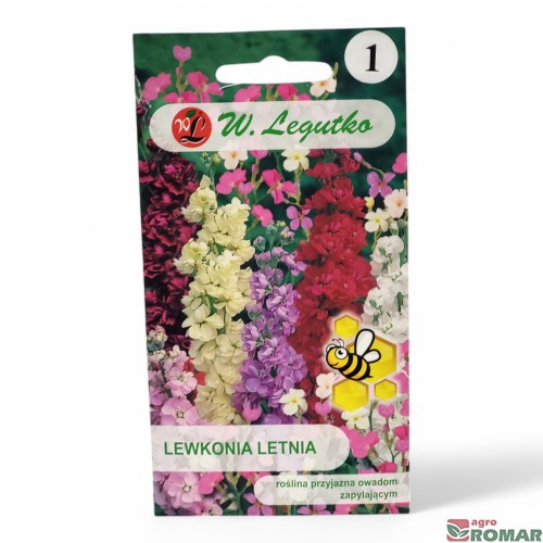 Lewkonia Letnia.jpg