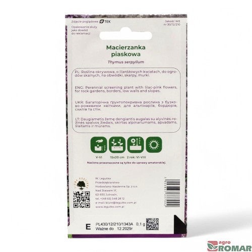 Macierzanka piaskowa(2).jpg
