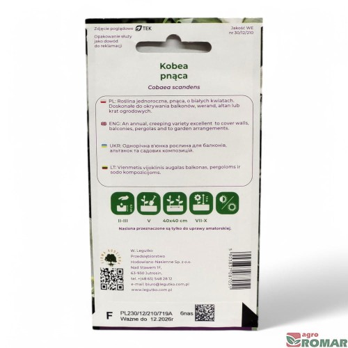 Kobea Pnąca biała(2).jpg