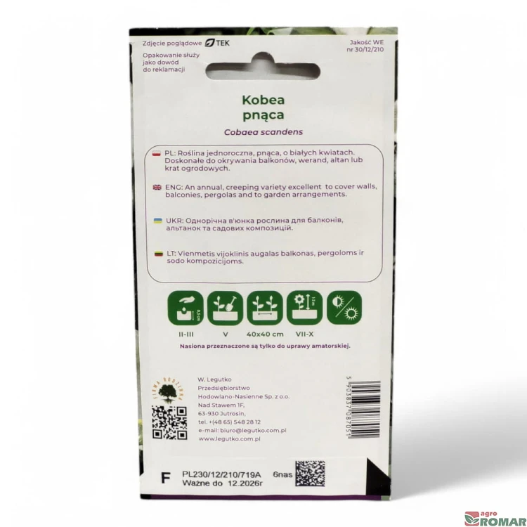 Kobea Pnąca biała(2).jpg