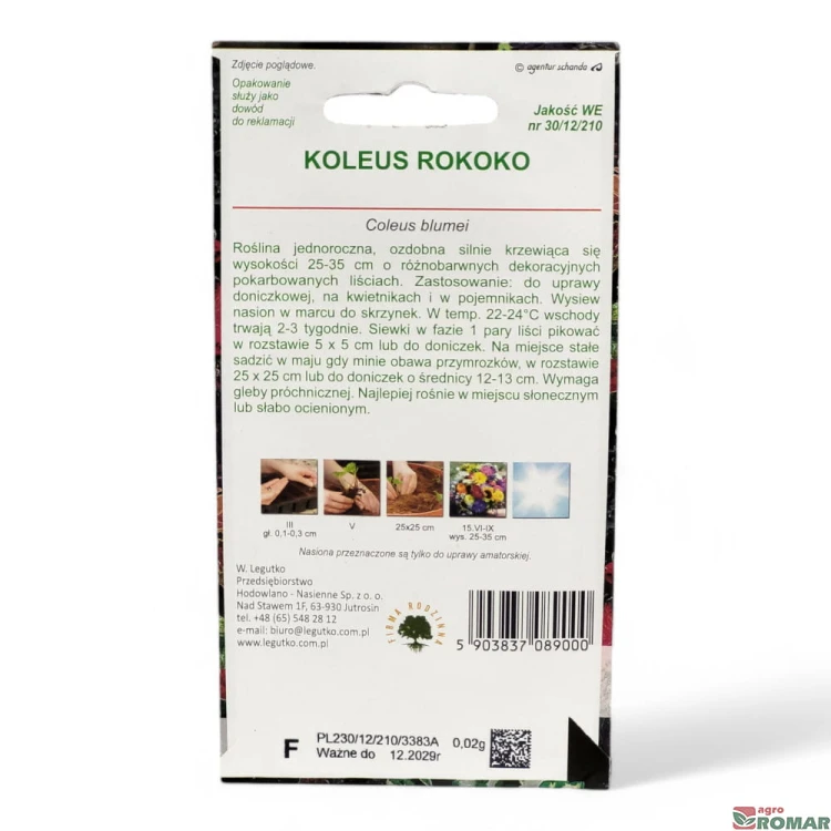 Koleus Rokoko(2).jpg