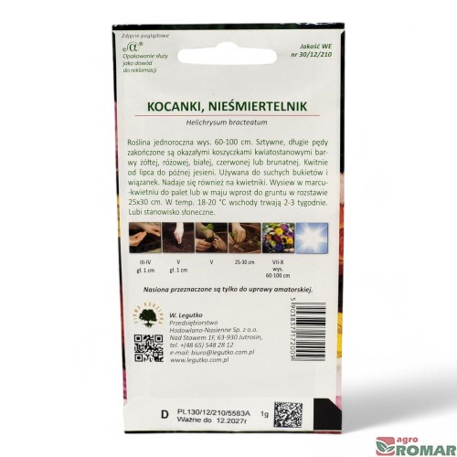 Kocanki, Nieśmiertelnik(2).jpg