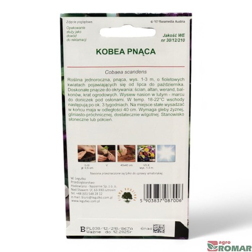 Kobea Pnąca(2).jpg