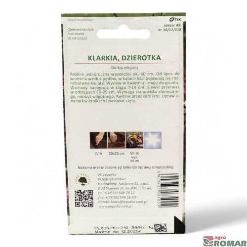 Klarkia, Dzierotka (2).jpg